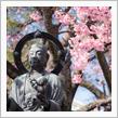 安行桜と密蔵院