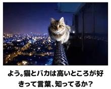 高いところ・・・