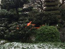 春分の日