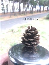 今日の教訓と収穫