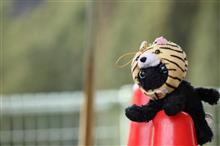 さるくらフリー(さるくら 4回目_練習会 5回目) さるくらフリー(さるくら 4回目_練習会 5回目)