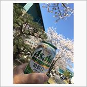 お花見