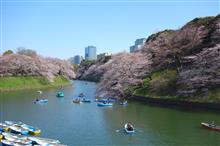 花見 千鳥ヶ淵 花見 千鳥ヶ淵
