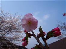 佐賀県神埼市でランチ＆花見オフ♪