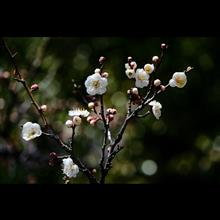 時を遺すと言うこと。 時を遺すと言うこと。