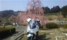月ヶ瀬梅林ツーリング