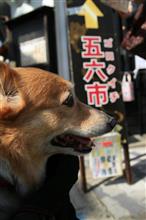 くらわんか五六市へ。