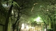平日ドライブ 平日ドライブ