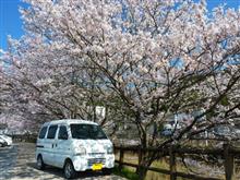 花より田楽 花より田楽