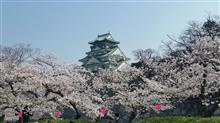 大阪は満開💠🎵 大阪は満開💠🎵