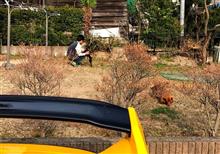 みんカラ ワイヤー 犬 庭のキーワード検索結果一覧