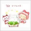 木のマリモ　～マリモの日　記念ブログ～