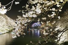 ライトアップ✨良し悪し。 ライトアップ✨良し悪し。