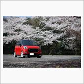 桜と
