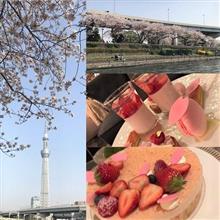 桜づくし 桜づくし