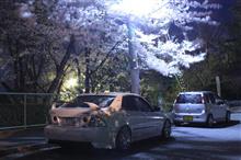 夜桜2018