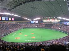 野球観戦（北海道日本ハムvs埼玉西武）