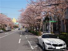 Z4で行く 春の晴海プチドライブ