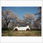 さくら咲く春を足早に…桜と富 ...