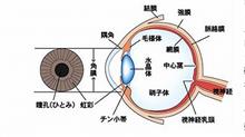 眼の病気 と アテンザのマイチェン情報 眼の病気 と アテンザのマイチェン情報