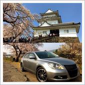 桜を愛でるWeek part ...