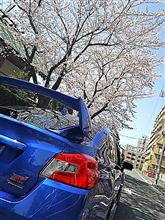 クネクネ道を走りたくて…(^^ゞ クネクネ道を走りたくて…(^^ゞ