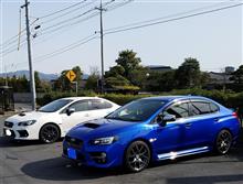洗車 洗車