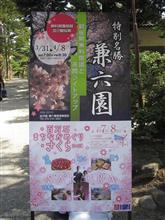桜ドライブ なれどまだ早し 桜ドライブ なれどまだ早し
