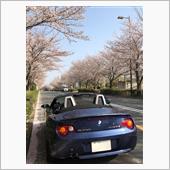 【動画w】桜並木をカケヨロww