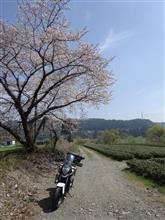 2018年3月_愛知・静岡ツーリング 2日目 2018年3月_愛知・静岡ツーリング 2日目