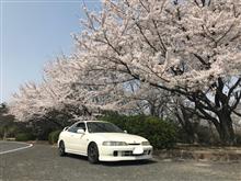 いつもの場所で花見などなど いつもの場所で花見などなど