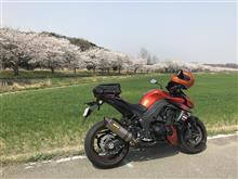 都幾川桜堤〔嵐山町〕 都幾川桜堤〔嵐山町〕