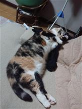 見学もいいね(^-^)