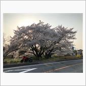 ソロツーリング帰り道