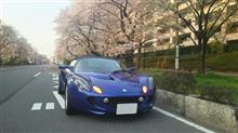 朝オフ(2018年4月)と千葉な日 朝オフ(2018年4月)と千葉な日