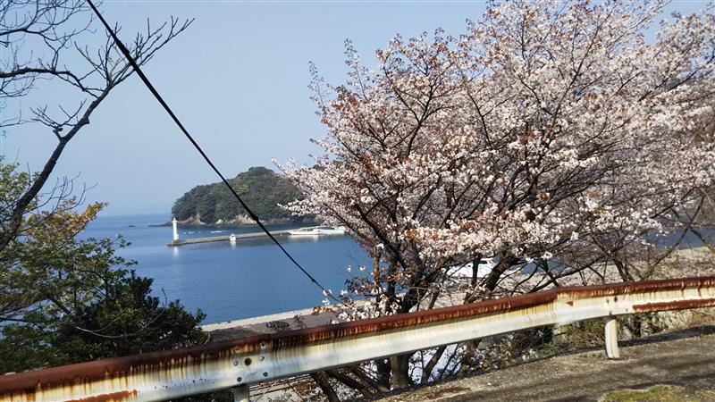須賀利から古里温泉～!(^^)!」桃奈々のブログ ｜ 青春の坂道 u0026 坂道の 