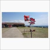 房総南部海岸線