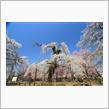秩父市清雲寺まで桜満開ドライブ