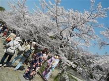 2018 「京トレイン」で行く　阪急沿線桜旅 