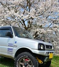 お蕎麦と桜とチョットだけ林道・・・ お蕎麦と桜とチョットだけ林道・・・