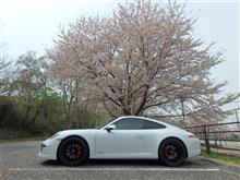 991 GTS＆桜　&#39;18.4.2