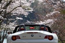桜ツーリング①(大分) 桜ツーリング①(大分)