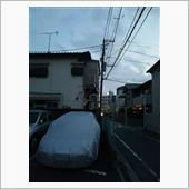 鳥の攻撃❗❗