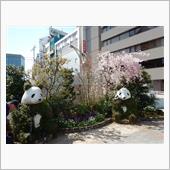 春のお出かけと準備