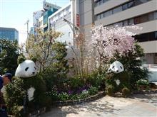 春のお出かけと準備
