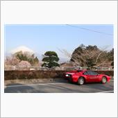 308GTB　お花見？