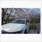 花見ドライブ
