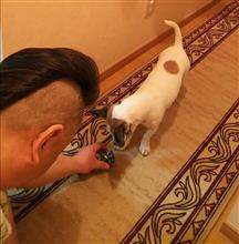 門とスカGと時々ハナ(^ω^) 門とスカGと時々ハナ(^ω^)