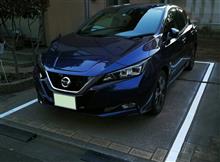 新型日産リーフプロパイロットパーキング用白線を自宅の駐車場に引いてみた(総集編) 新型日産リーフプロパイロットパーキング用白線を自宅の駐車場に引いてみた(総集編)