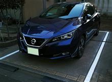 新型日産リーフプロパイロットパーキング用白線を自宅の駐車場に引いてみた（総集編） 